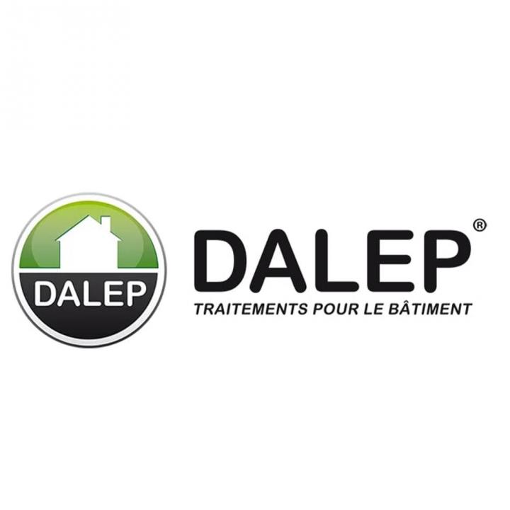 Logo dalep